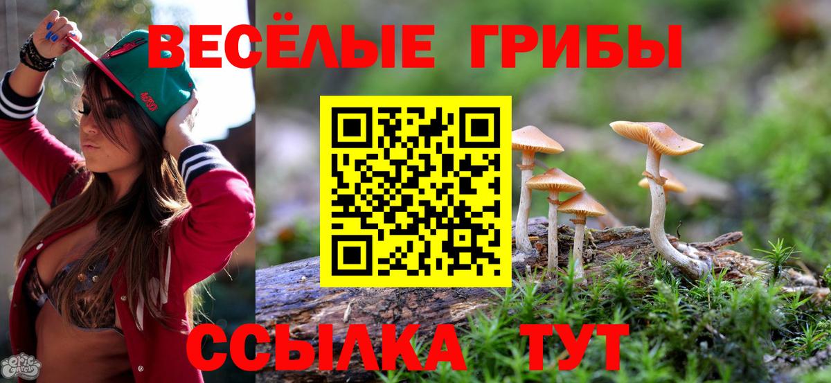 Псилоцибиновые грибы ЛСД  Вход с VPN  Псилоцибиновые грибы прущие грибы  Магнитогорск 